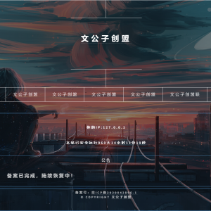 02、精美大气简洁网址发布页引导页面导航网站引流页下载页面