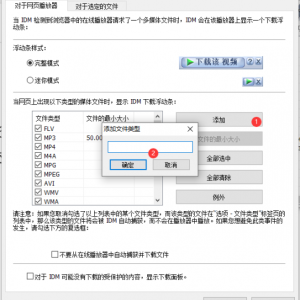 IDM下载工具软件Internet Download Manager（无需序列号激活码）